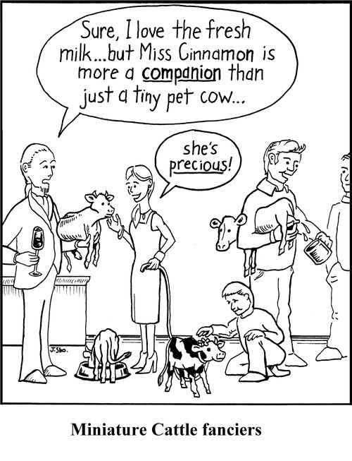 Miniature Cattle Fanciers
