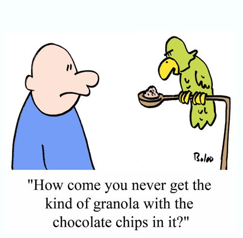 "How come you never get the kind of granola with the chocolate chips in it?"
