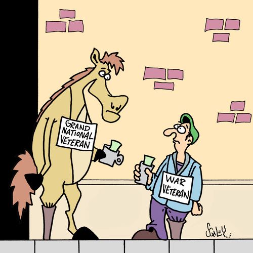 Grand National Veteran