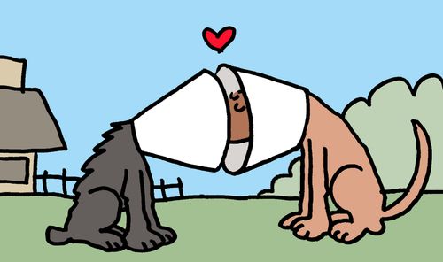 Puppy Love