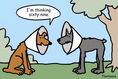 "I'm thinking sixty nine."