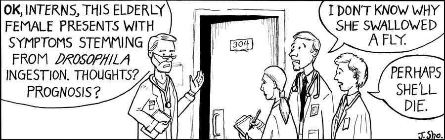 'Ok, interns, this elderly female presents with symptoms stemming from drosophila ingestion. Thoughts? Prognosis?'
