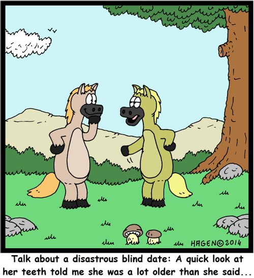 'Talk about a disastrous blind date: A quick look at her teeth told me she was a lot older than she said...'
