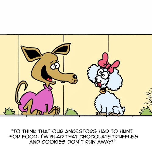 'To think that our ancestors had to hunt for food, I'm glad that chocolate truffles and cookies don't run away!'