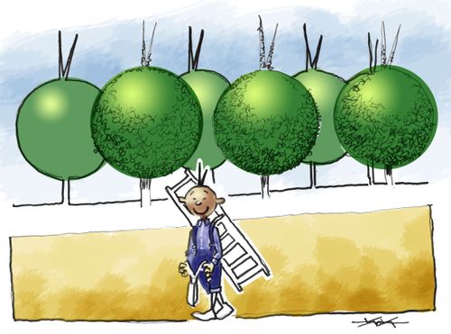 A Gardener's Self-Portrait