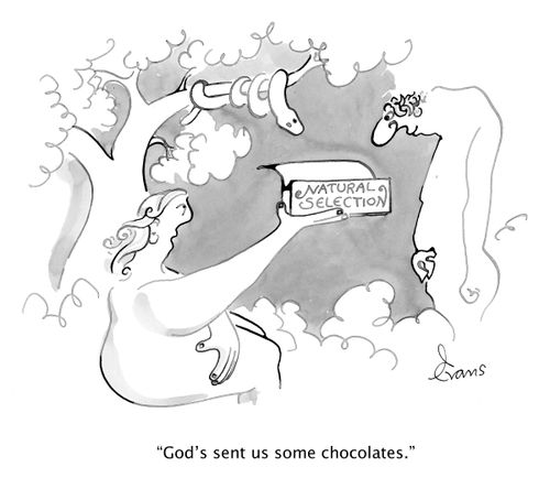 "God's sent us some chocolates."