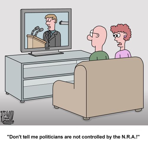 "Don't tell me politicians are not controlled by the N.R.A.!"