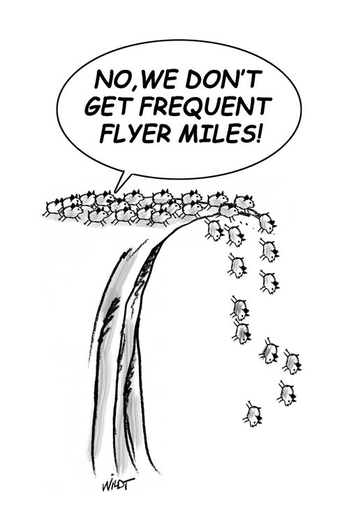 'No, we don't get frequent flyer miles!'
