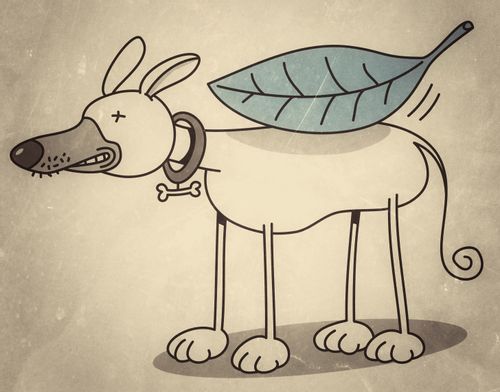 A large leaf falling on a dog