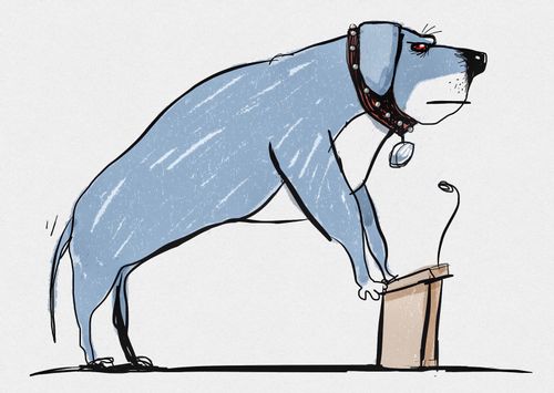 A big dog at lectern.