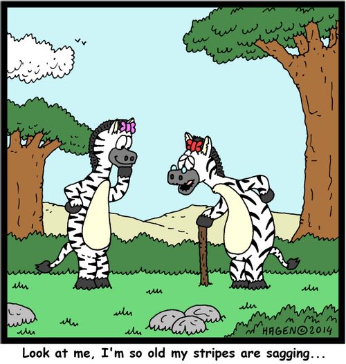 'Look at me, I'm so old my stripes are sagging...'