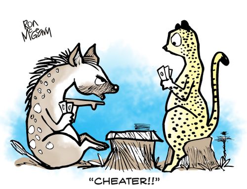 "Cheater!"