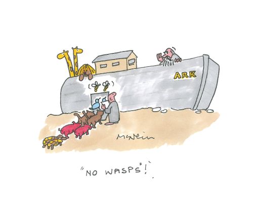 "No Wasps!"