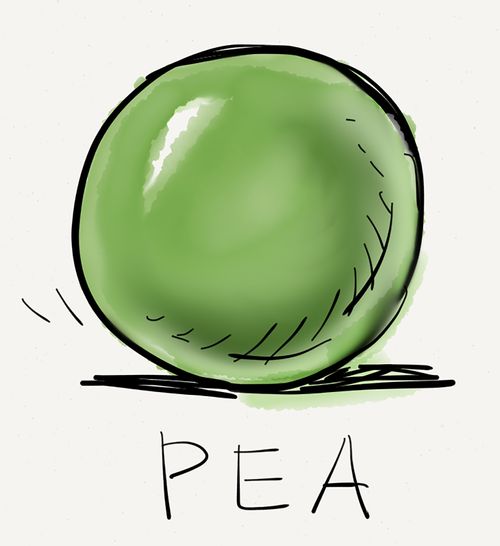 Pea
