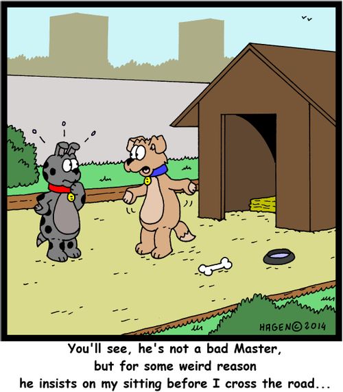 "You'll see, he's not a bad Master, but for some weird reason he insists on my sitting before I cross the road..."