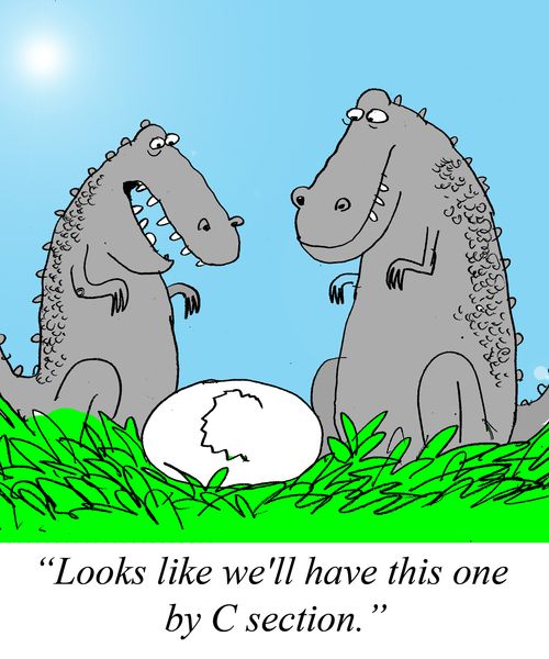 'Looks like we'll have this one by C section."