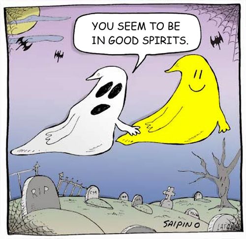 'You seem to be in good spirits.'