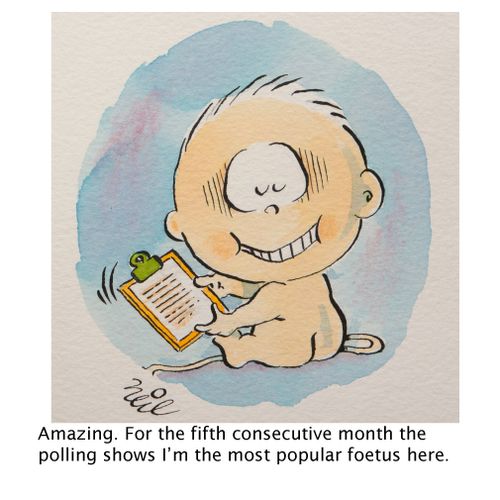 "Amazing. For the fifth consecutive month the polling shows I'm the most popular foetus here."