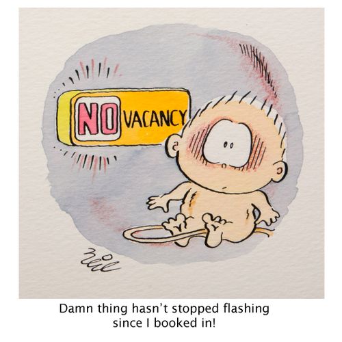 NO Vacancy: "Damn thing hasn't stopped flashing since I booked in!"