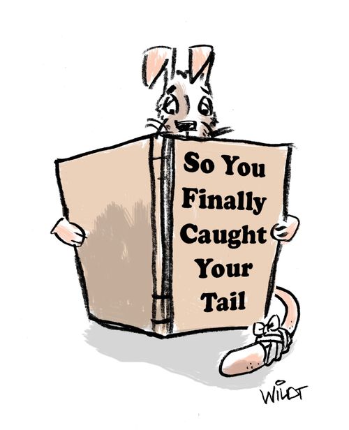 So You Finally Caught Your Tail