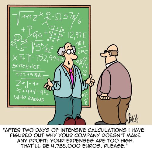 'After two days of intensive calculations I have figures out why your company doesn't make any profit: your expenses are too high. That'll be 4, 785,000 euros, please.' 