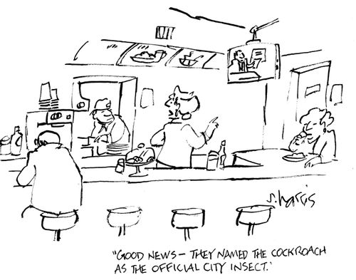"Good news - they named the cockroach as the official city insect."