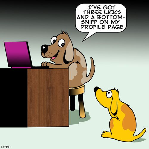 'I've got three licks and a bottom-sniff on my profile page.'