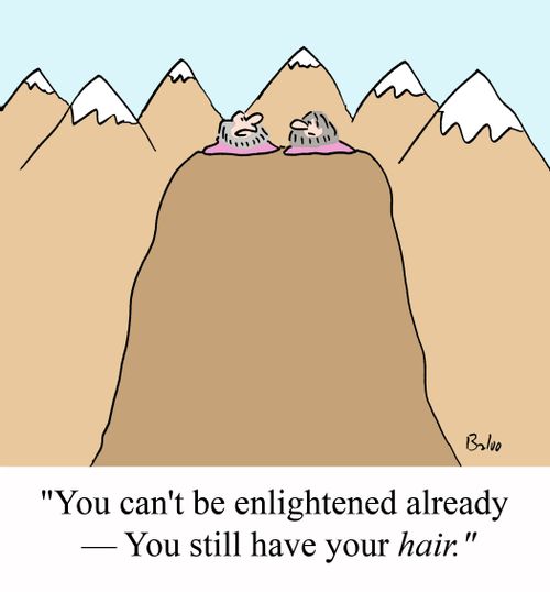 "You can't be enlightened already - You still have your HAIR."