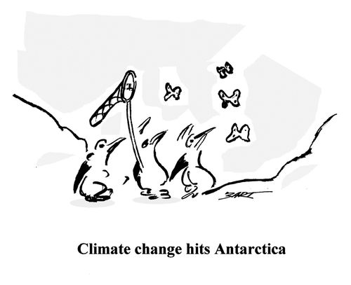 Climate change hits Antarctica