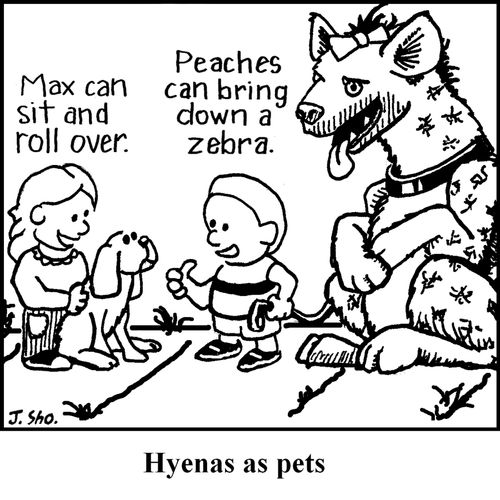 Hyenas as Pets