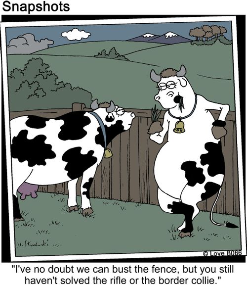 'I've no doubt we can bust the fence, but you still haven't solved the rifle or the border collie.'