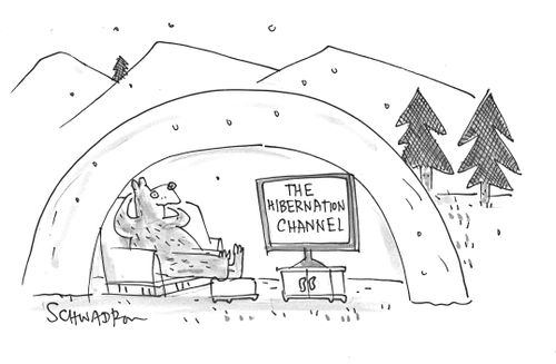 The Hibernation Channel