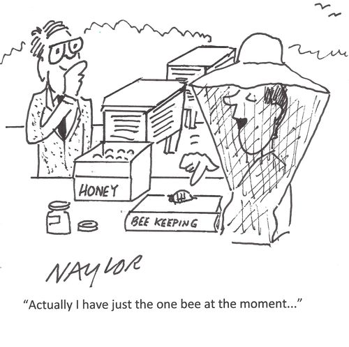 'Actually I have just one bee at the moment...'