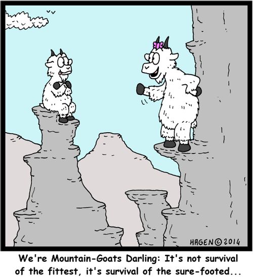 "We're Mountain-Goats Darling: It's not survival of the fittest, it's survival of the sure-footed..."