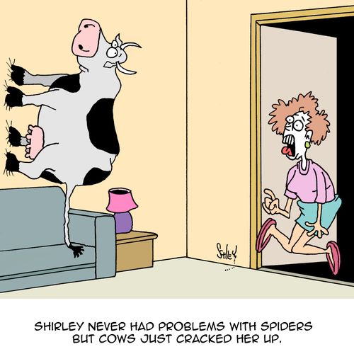 'Shirley never had problems with spiders but cows just cracked her up.