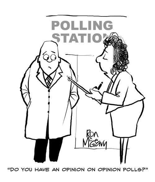 "Do you have an opinion on opinion polls?"