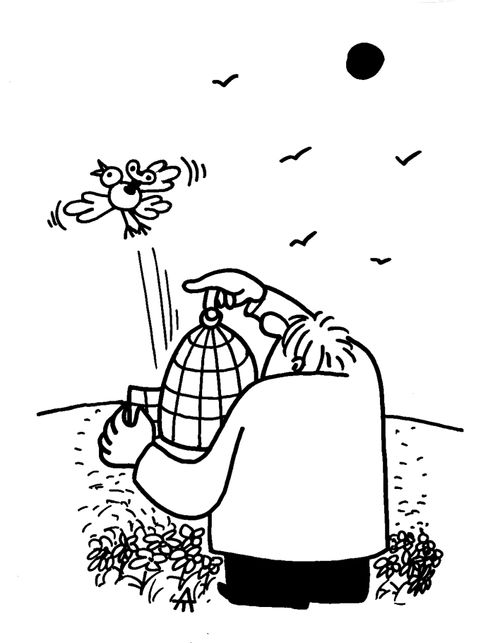 Freeing a Clockwork Bird
