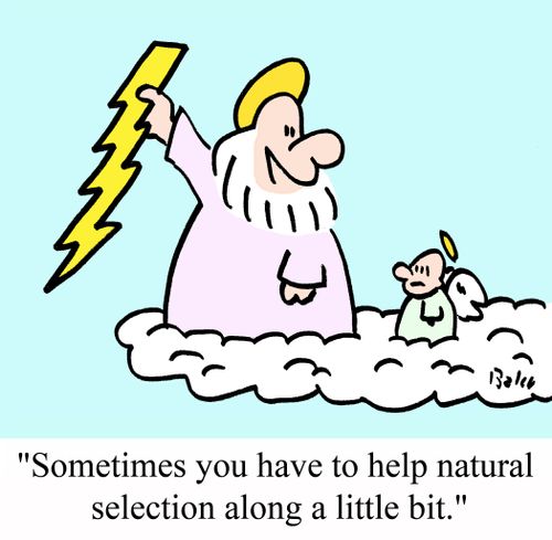 "Sometimes you have to help natural selection along a little bit."