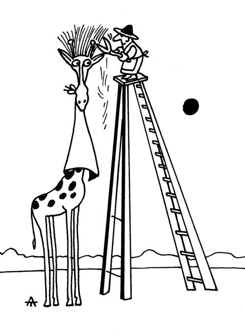 Giraffe Haircut