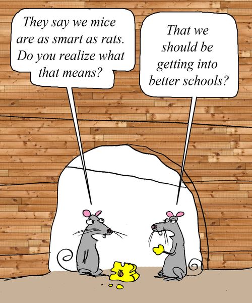 "They say we mice are as smart as rats. Do you realize what that means?"