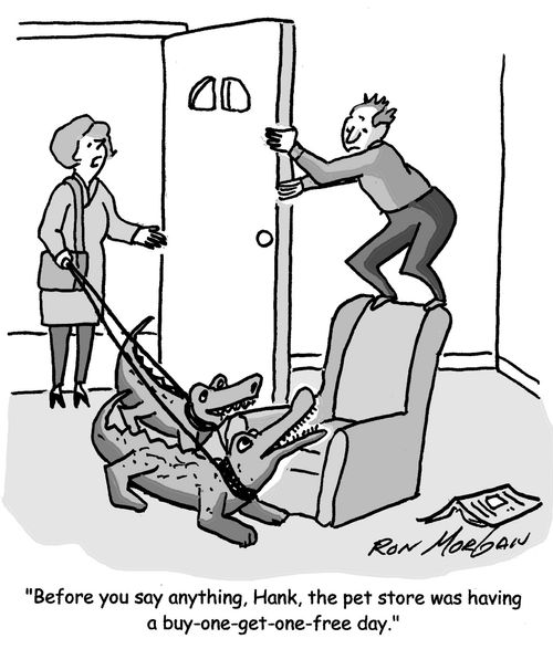 'Before you say anything, Hank, the pet store was having a buy-one-get-one-free day.'