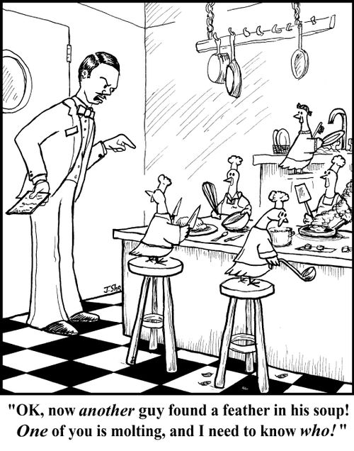 "OK, now another guy found a feather in his soup! One of you is molting, and I need to know who!"