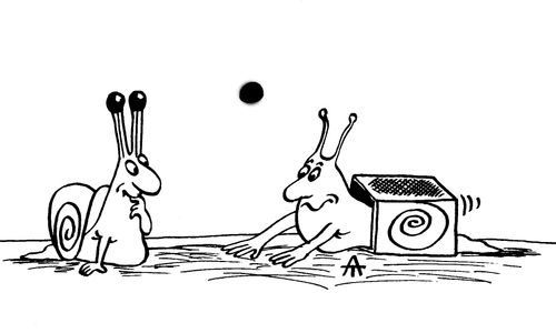 Snail with a Box Shell