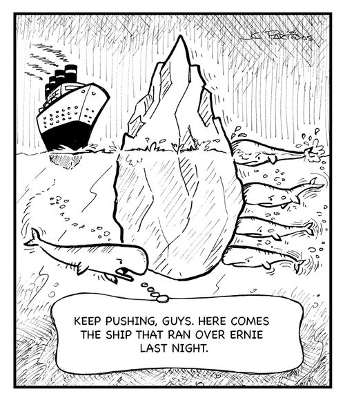 'Keep pushing, guys. Here comes the ship that ran over Ernie last night.'
