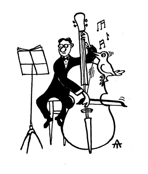 Bird plucking a cello