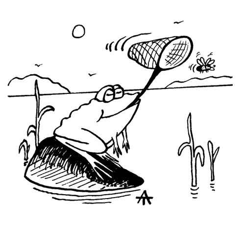 Frog catching a fly with a net.