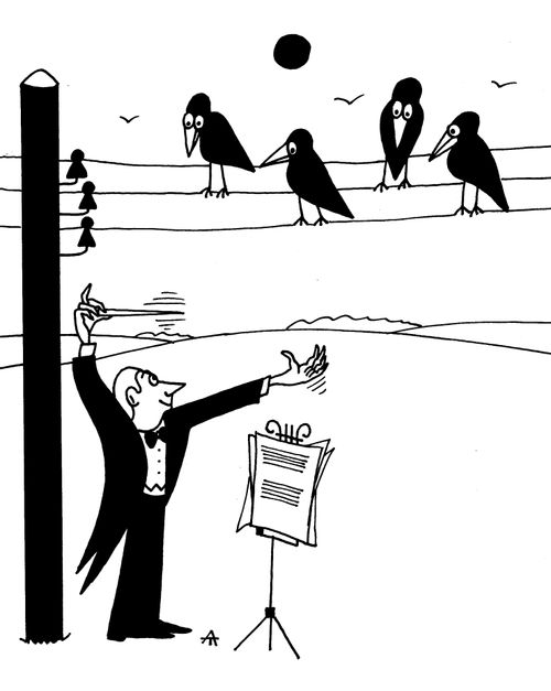 Conducting the crows.
