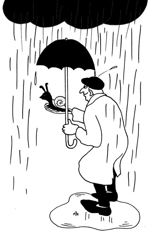 Sheltering a snail from the rain.