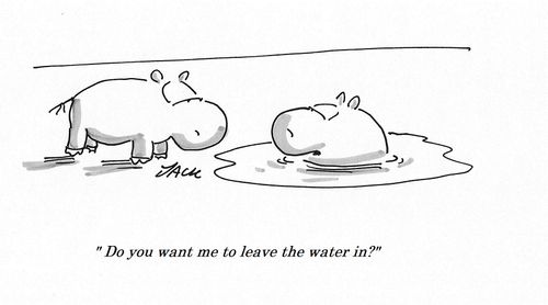 "Do you want me to leave the water in?"