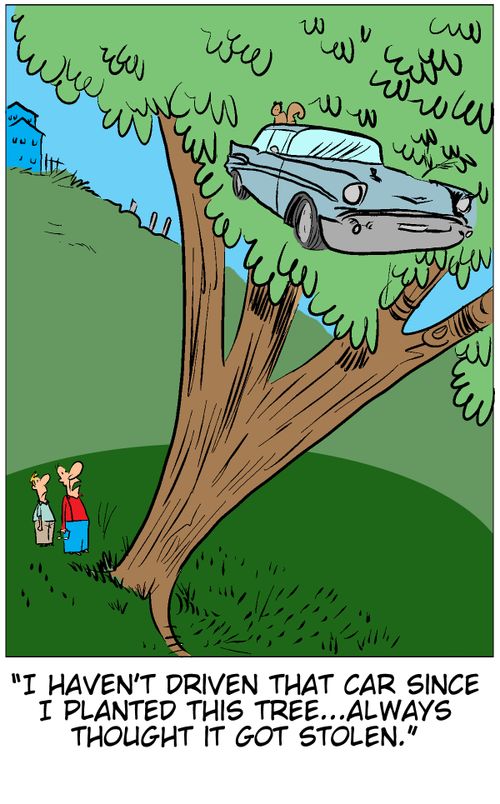'I haven't driven that car since I planted this tree...always thought it got stolen.'